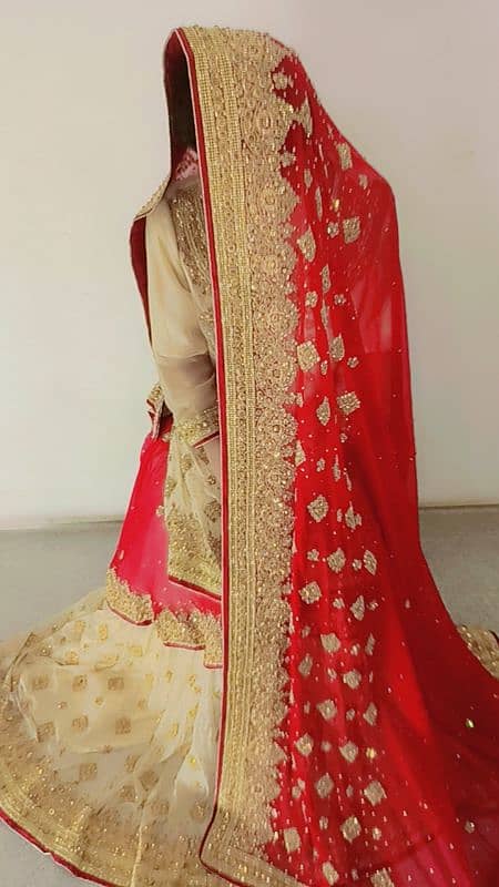 Pakistani style farshi lehnga 5