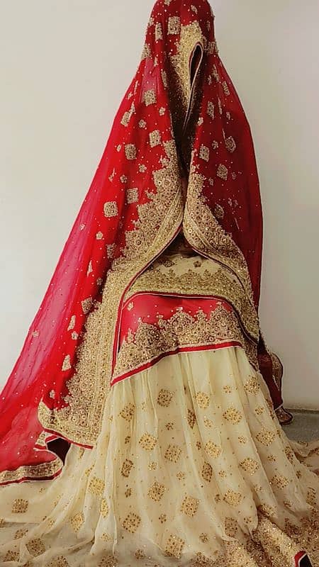 Pakistani style farshi lehnga 6