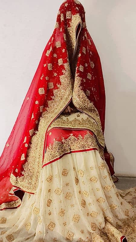 Pakistani style farshi lehnga 7