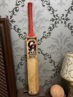 English willow cricket bat