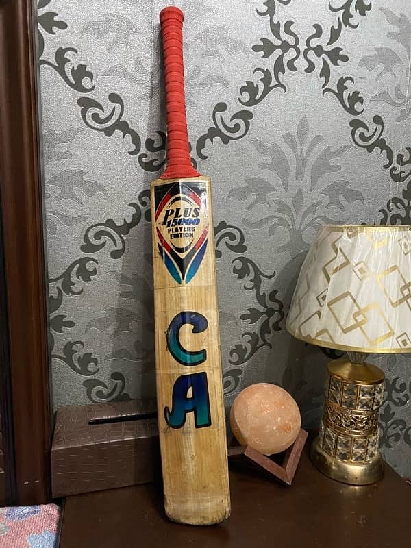 English willow cricket bat 1