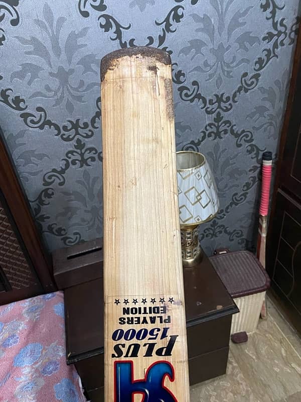 English willow cricket bat 2