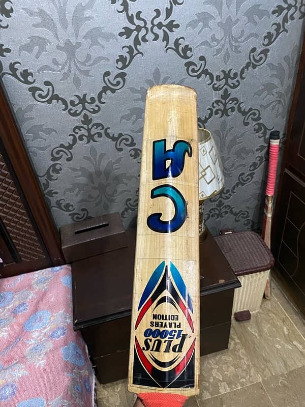 English willow cricket bat 3