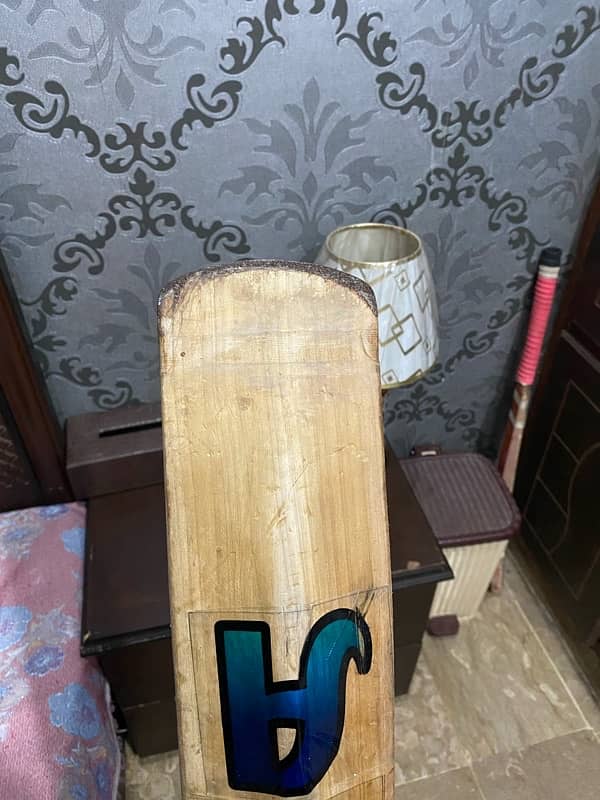 English willow cricket bat 4