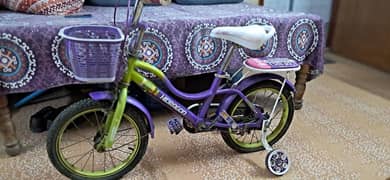 kids bicycle