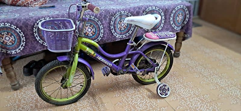 kids bicycle 1