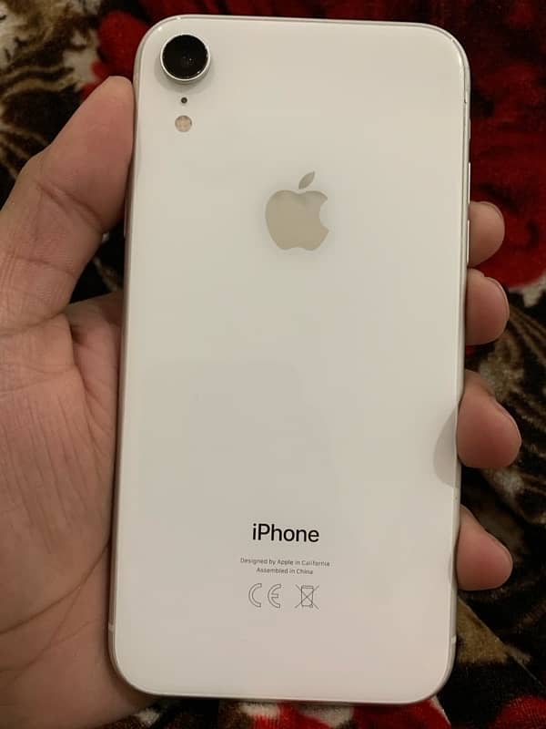 iphone xr non pta 128gb water pack 4