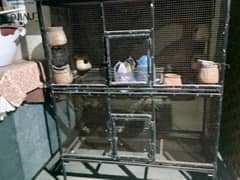 Parrot and hen cage