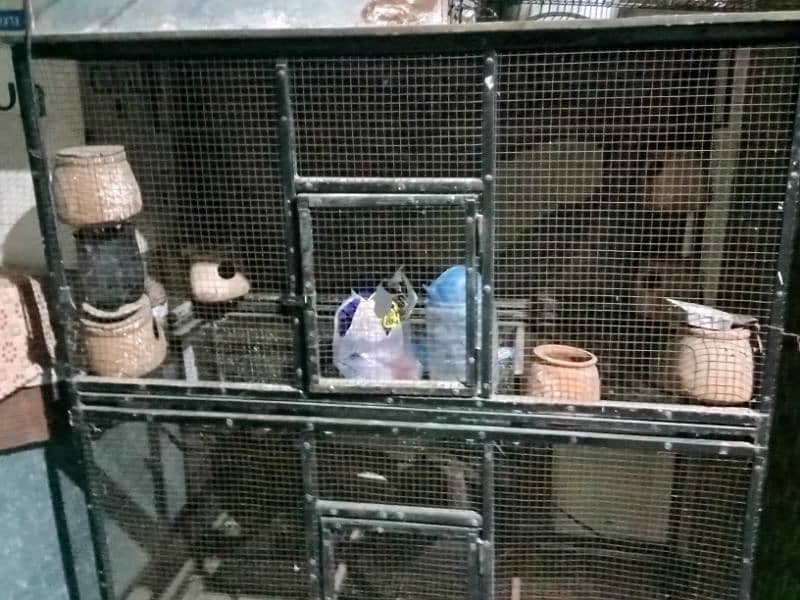 Parrot and hen cage 1