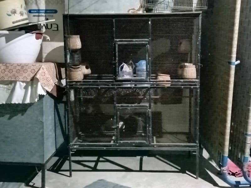 Parrot and hen cage 3