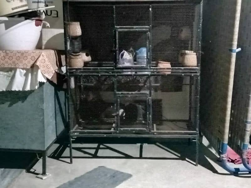 Parrot and hen cage 4