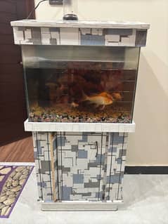 aquarium for sell