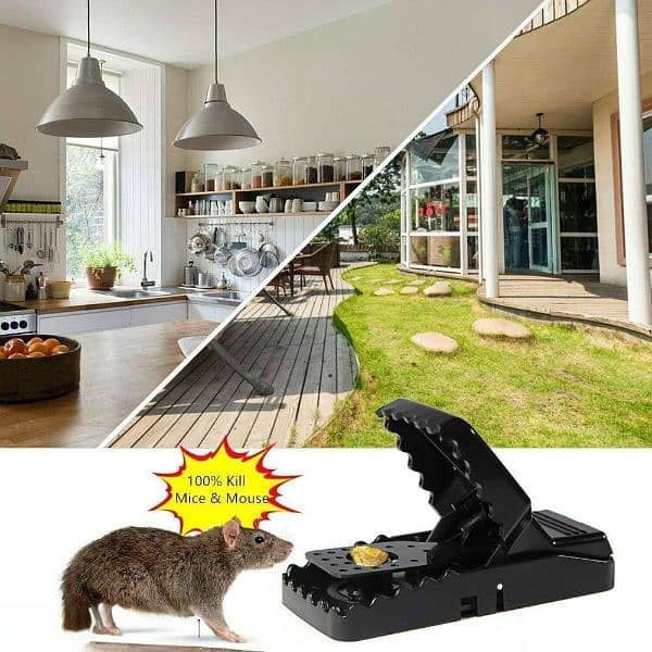 Effective 2pcs Mouse Trap - Affordable and Solution for Rodents 4