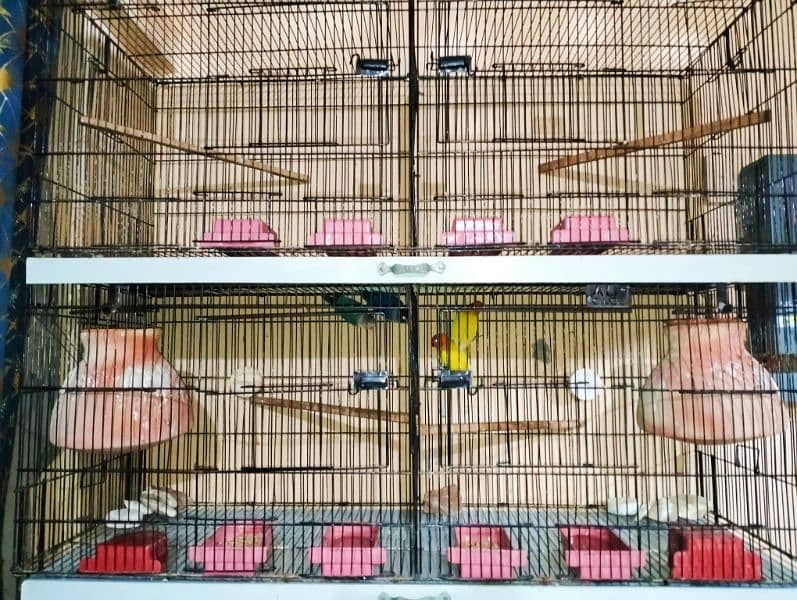 Urgent Sell 4 Portion folding Cage Branded 1