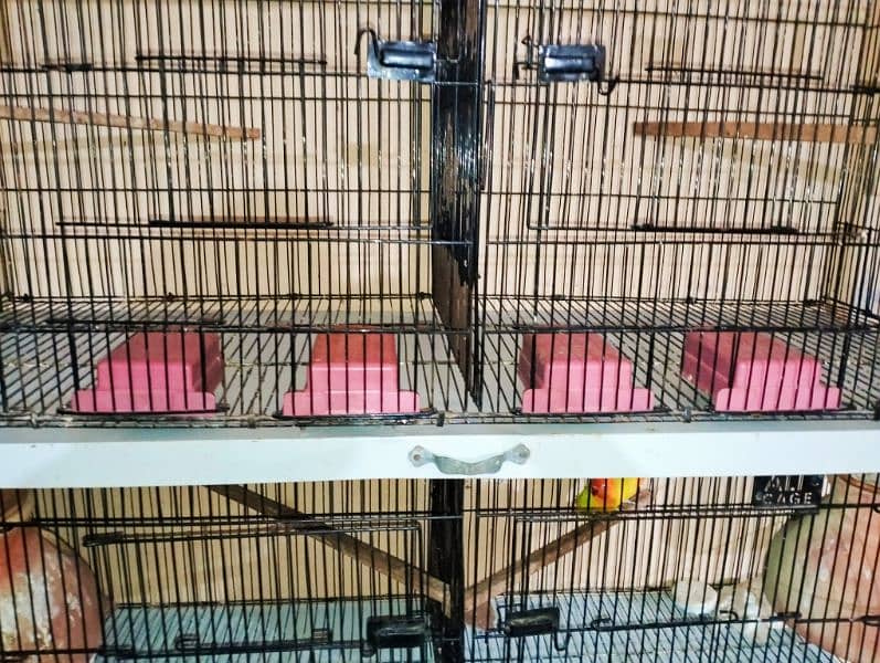 Urgent Sell 4 Portion folding Cage Branded 3