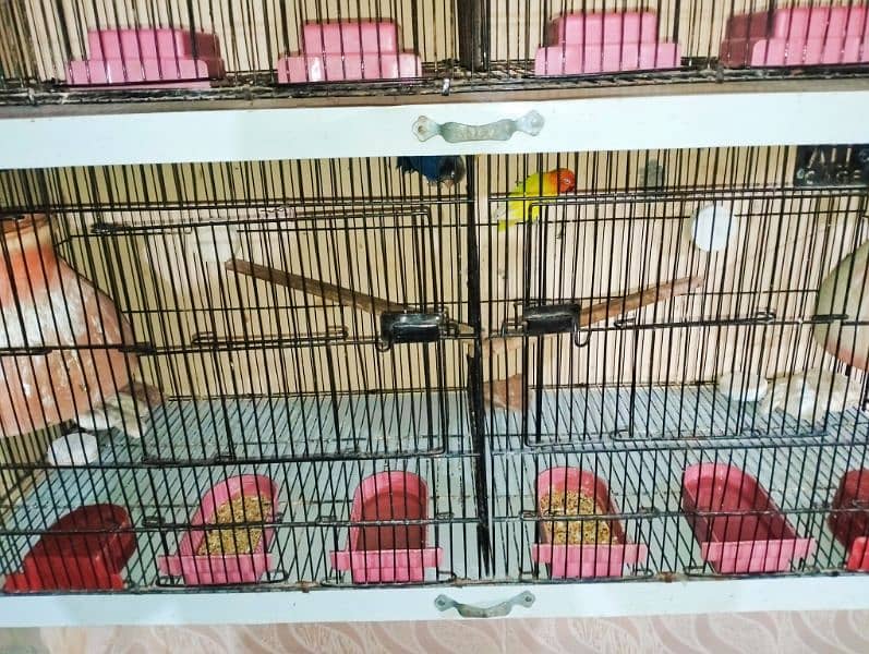 Urgent Sell 4 Portion folding Cage Branded 4