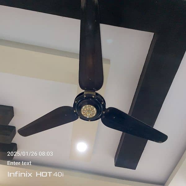 Stylish Ceiling fan 2