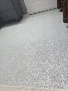 carpet