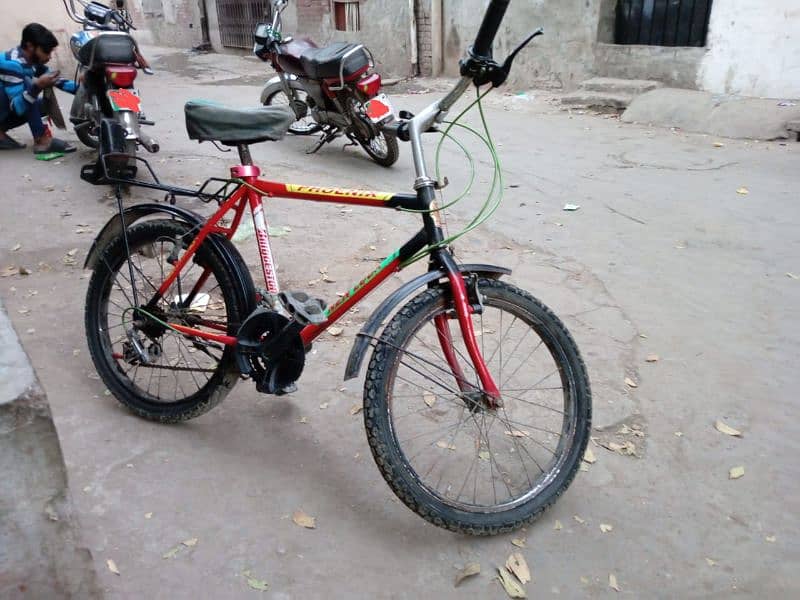 Phoenix Cycle for sale 2