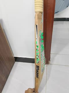 cricket bat