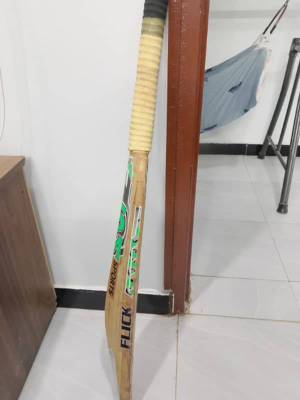 cricket bat 1