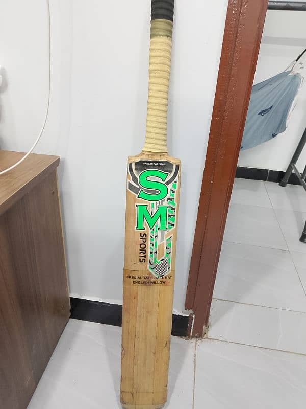 cricket bat 2