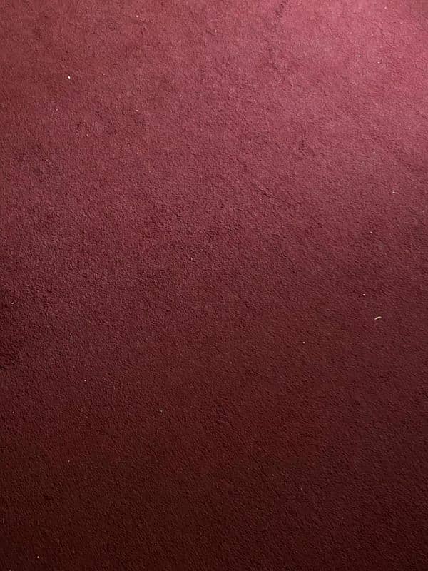 maroon carpet 12×16 1