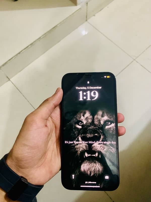 iPhone 12 Pro Max 0