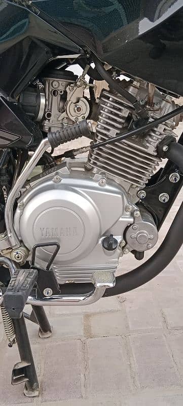 Yamaha ybr 125 model 2024/25 7