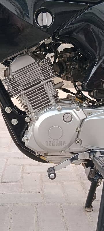 Yamaha ybr 125 model 2024/25 8