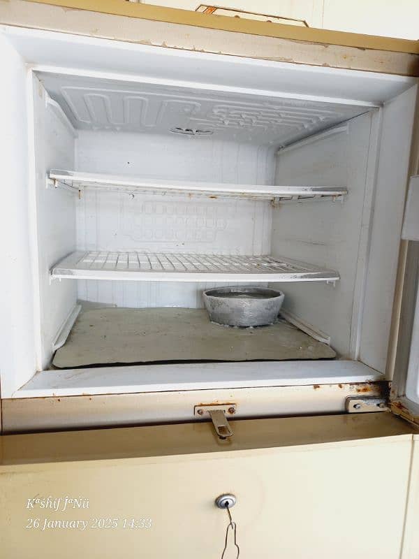 PEL Refrigerator 4