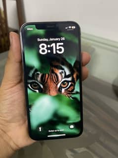 IPhone 12 Pro | 256 GB | Dual Sim | PTA Approved | APPLE IPHONE 12 PRO