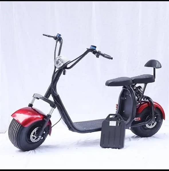 Ltd Time Offer: Citycoco Electric Bike with Fat Tire 4