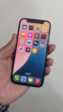 iPhone 12 Mini PTA Approved