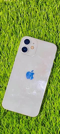 iPhone 12 Mini