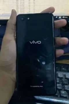 vivo