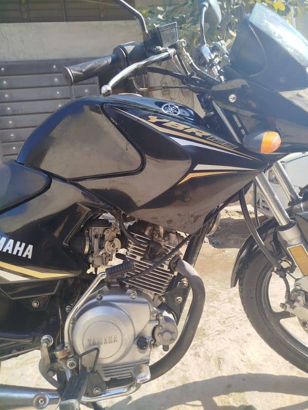 Yamaha  YBR 125 ( Model   2023 ) Total Genuine 4