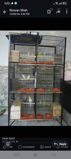 only pingra sale without birds