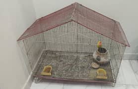 birds Cage