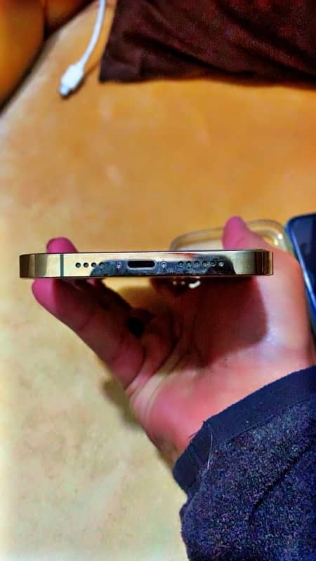 iphone 12 pro max gold dual pta 5