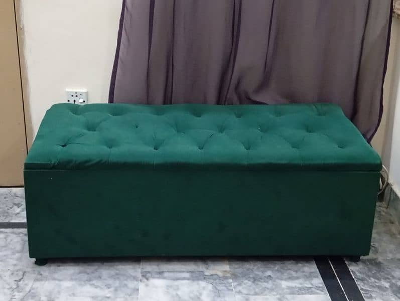 Sofa Cum Bed+Seaty 3