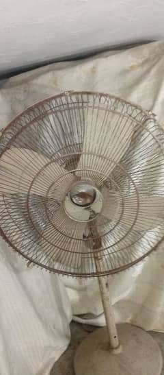 pedestal fan 24 inches chaloo halat