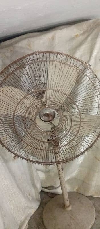 pedestal fan 24 inches chaloo halat 1