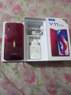 vivo