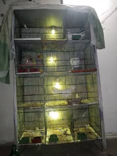 Cage For Sale 12 Portion