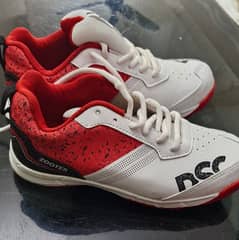 DSC Original Cricket Shoes