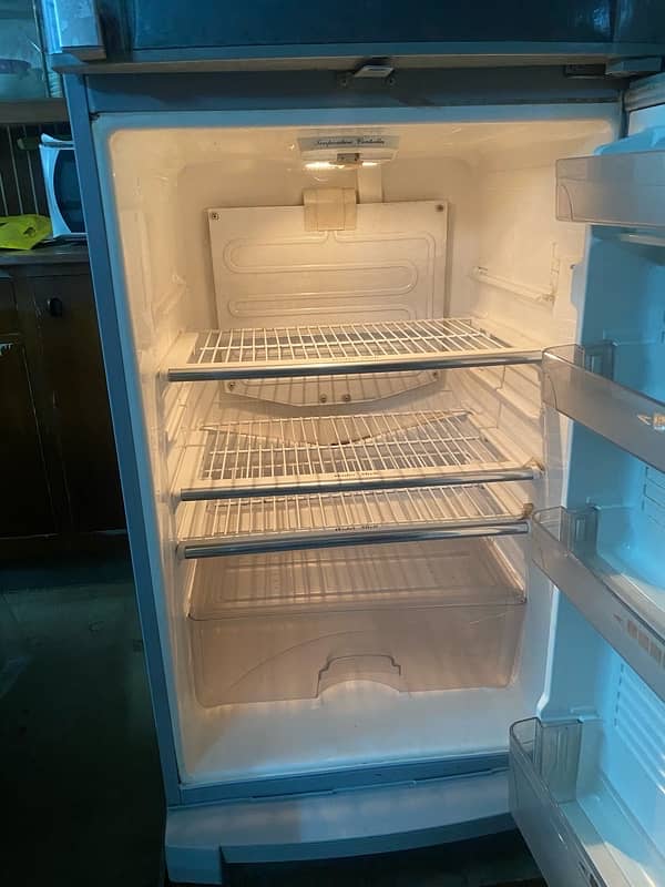 medium size fridge 2