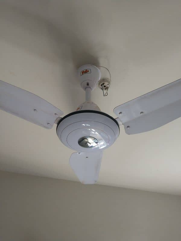 Ceiling Fan & Pedestal Dan 2