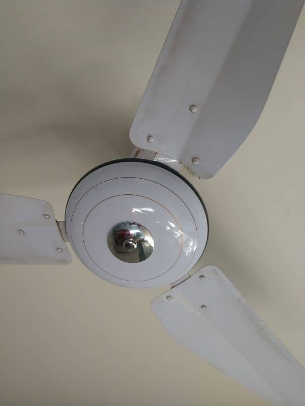 Ceiling Fan & Pedestal Dan 3