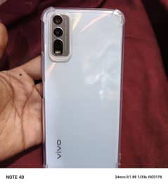 vivo